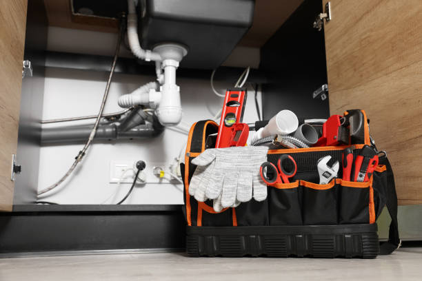 Best Leak Detection Services  in Palos Park, IL