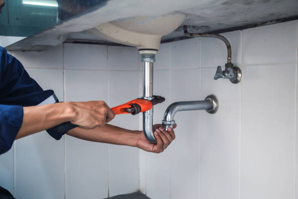Best Drain Cleaning Services  in Palos Park, IL
